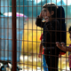 Illustration for article titled 5 European Countries Have Built Border Fences to Keep Out Refugees